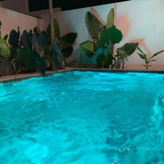 Le Yucca 974 By J&V Villa Saint Pierre Exterior photo