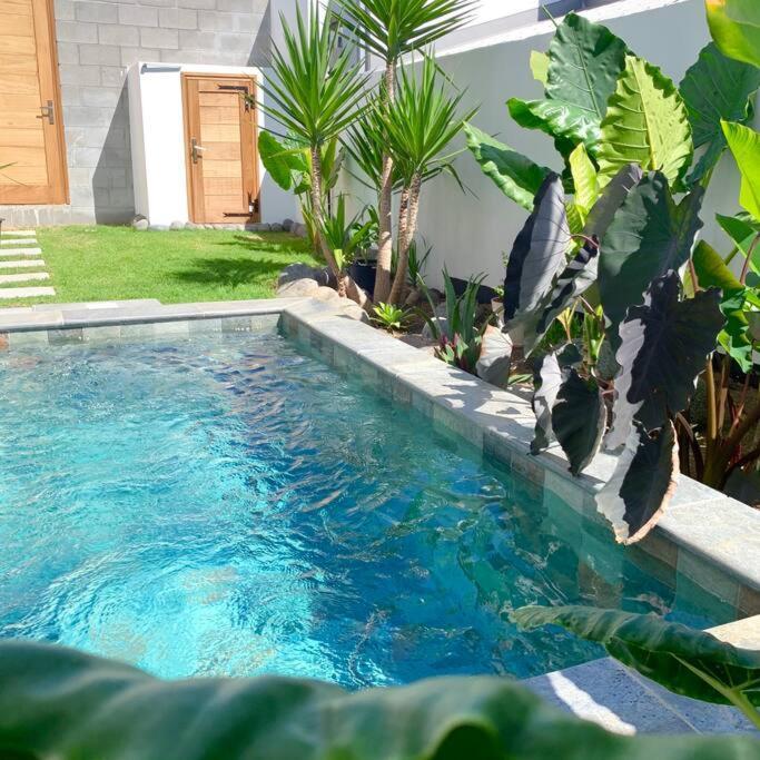 Le Yucca 974 By J&V Villa Saint Pierre Exterior photo