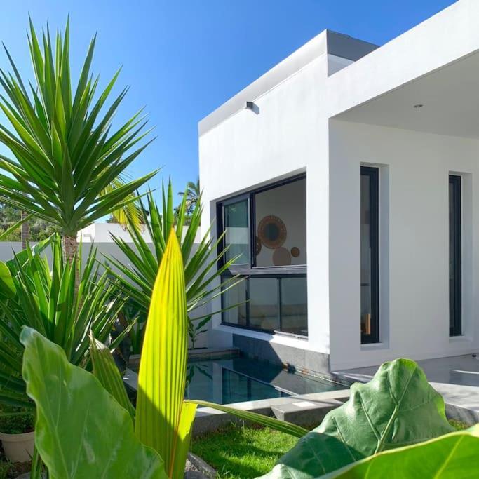 Le Yucca 974 By J&V Villa Saint Pierre Exterior photo