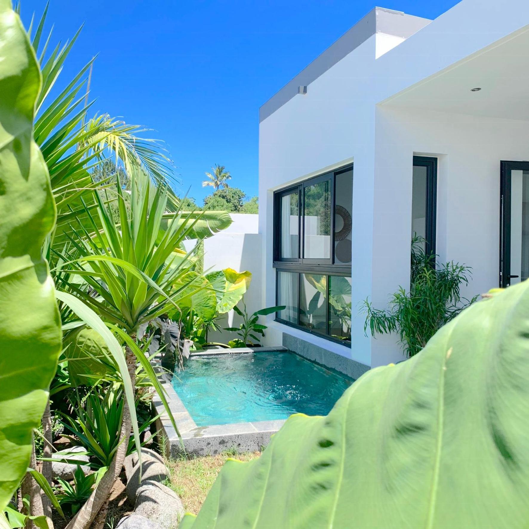 Le Yucca 974 By J&V Villa Saint Pierre Exterior photo
